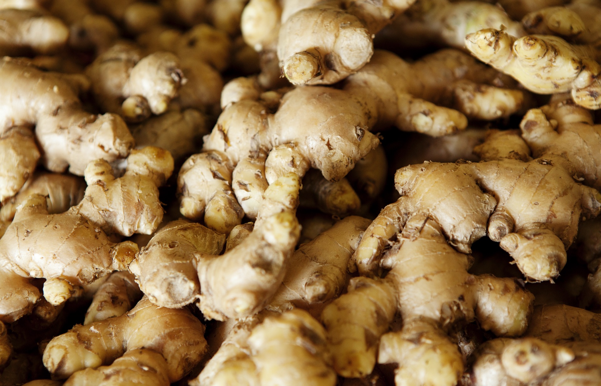Ginger root