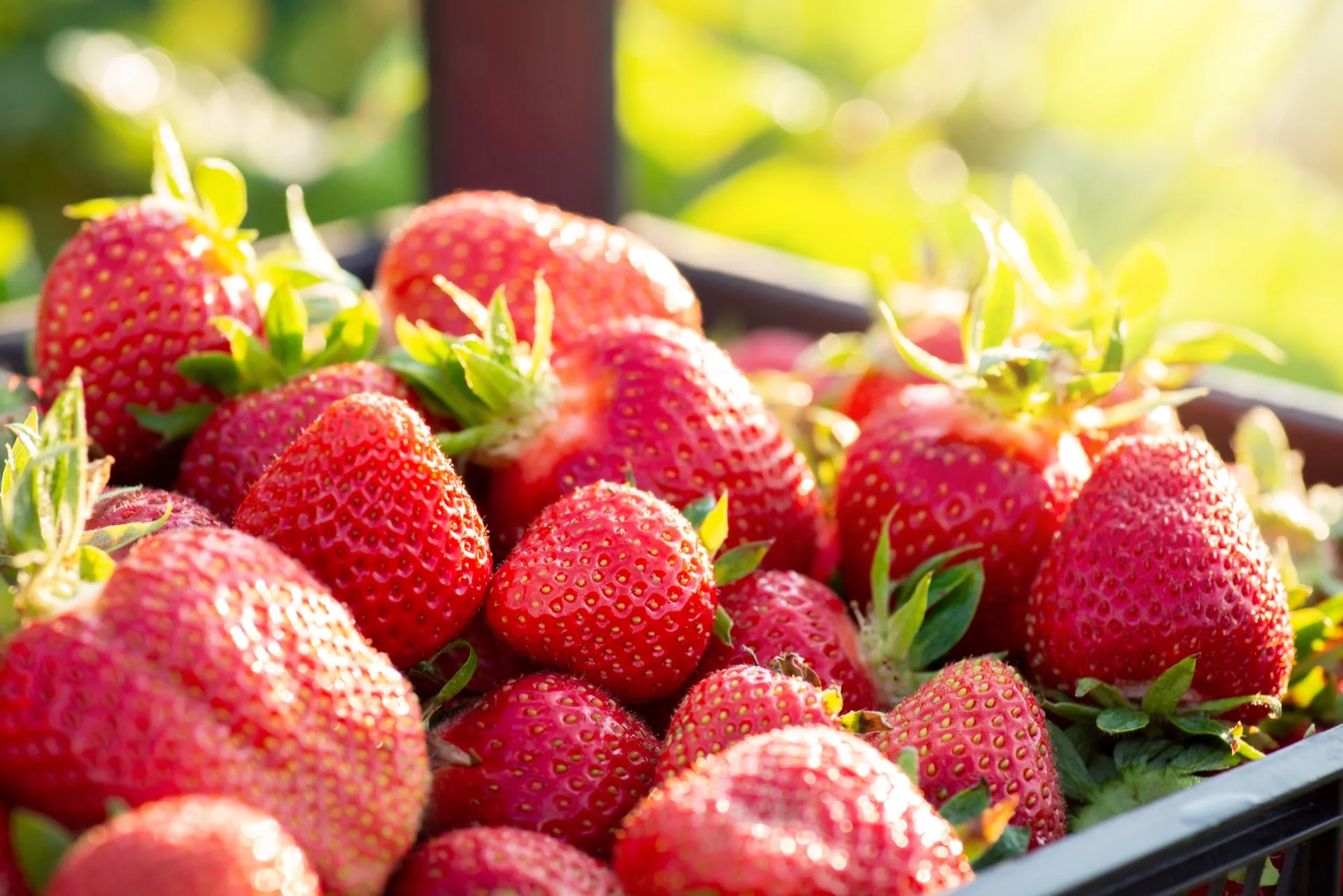Strawberries