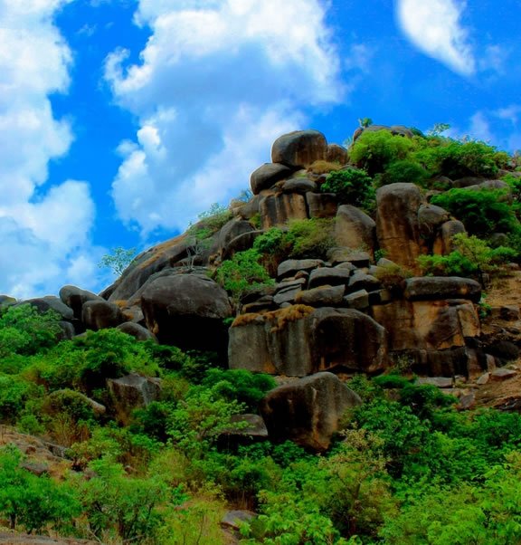 Shere Hills granite rock formation